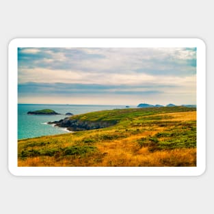 St Davids Peninsula - Coastal Scenery - Pembrokeshire, Wales Sticker